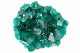 Gemmy, Dark Green Dioptase Crystal Cluster - Namibia #78710-1